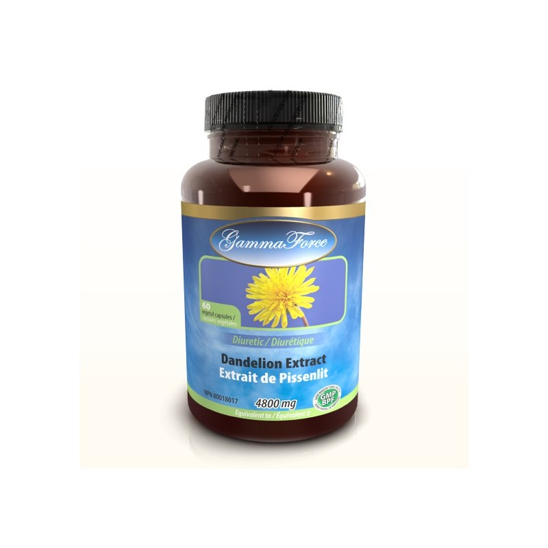 Dandelion Root Extract 480MG 60 Capsules